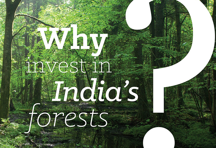 vertiver blog Forestry Infographics on India