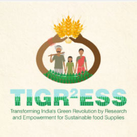 Vertiver services tigresspro